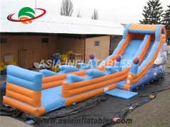 diapositiva inflable delfín seco