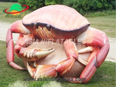 All The Fun Inflatables and Custom Inflatable Crab For Decoration