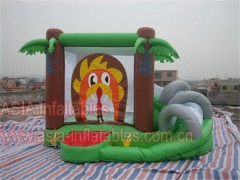 Jungle inflatable combo