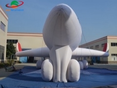 Inflatable Aircraft